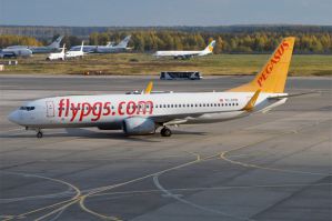 Pegasus Airlines     ,      2025 